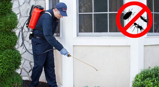 Uşak Dezenfeksiyon böcek ilaçlama ve haşere kontrolü — ilaclama-tr.com
